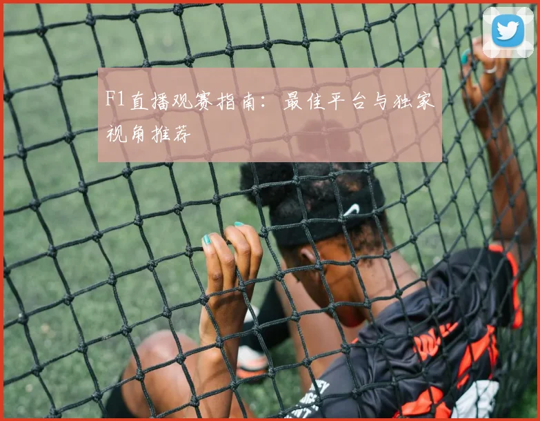 F1直播观赛指南:最佳平台与独家视角推荐